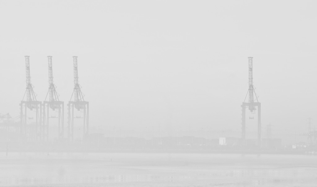 Docks in mist by seanoneill