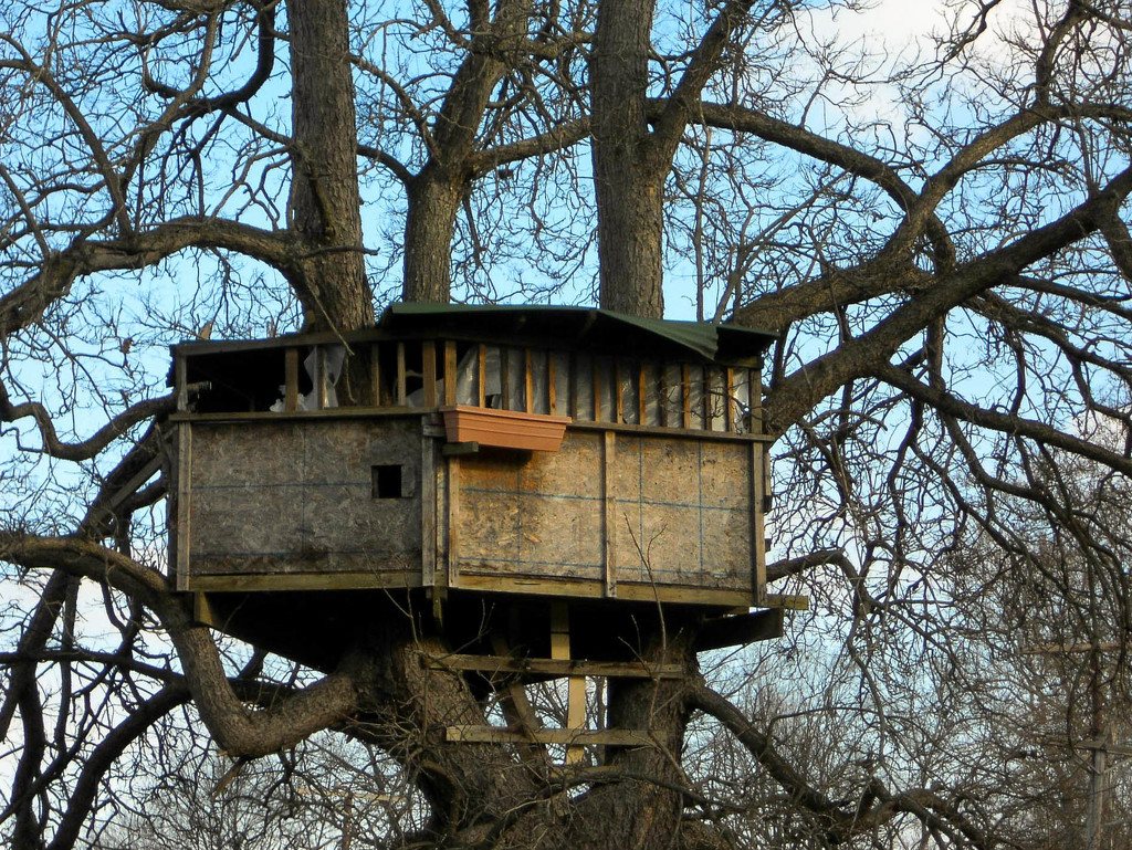 Treehouse by mittens