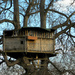 Treehouse by mittens