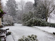 13th Jan 2015 -  The First Snow of the Winter