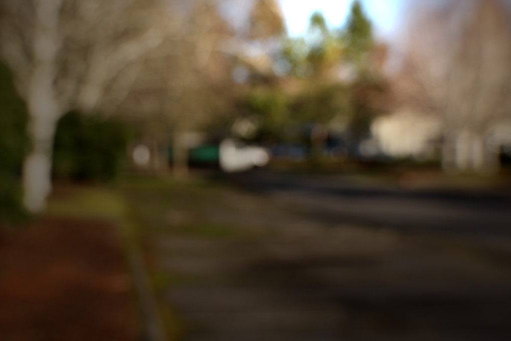 Lensbaby Park by nanderson