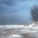 Lone Tree on the Beach by taffy
