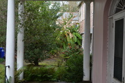 14th Jan 2015 - House and garden, historic district, Charleston, SC