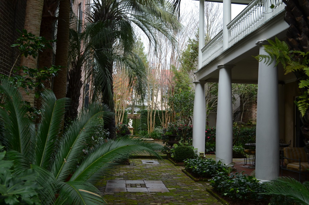 House and garden, historic district, Charleston, SC by congaree