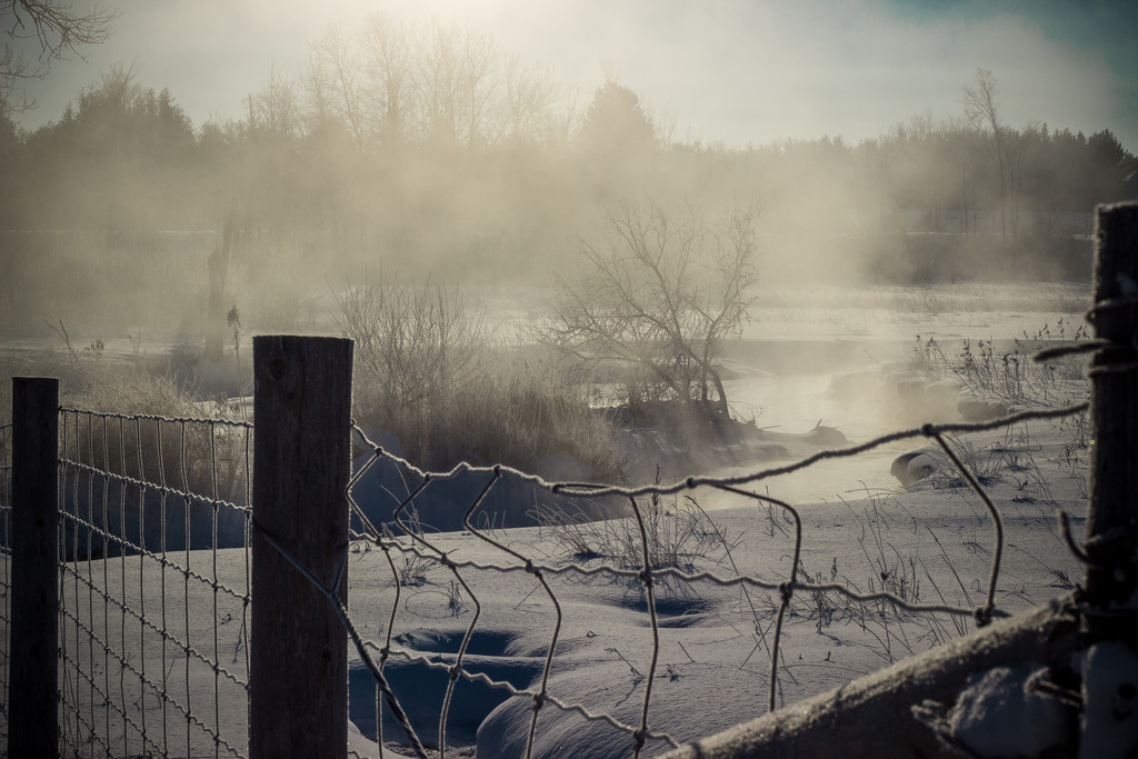 Frosty Morning by tracymeurs