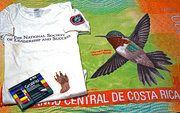 14th Jan 2015 - Costa Rica shirt