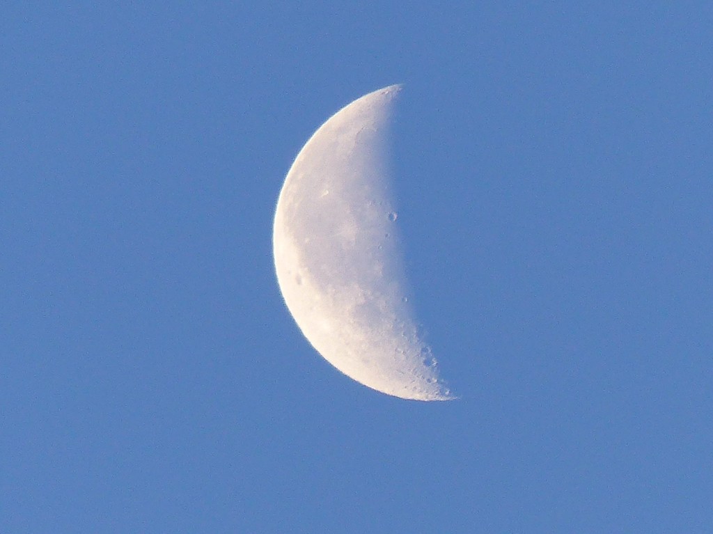 The Moon by susiemc