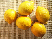 11th Jan 2015 - Lemons
