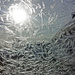 Frost in the sun by randystreat