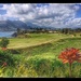 Golf in Paradise by redy4et