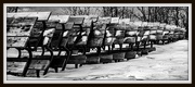 14th Jan 2015 - Benches in the Snow