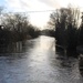 15 January 2015 (Hampshire Avon at Ringwood in flood) by lavenderhouse