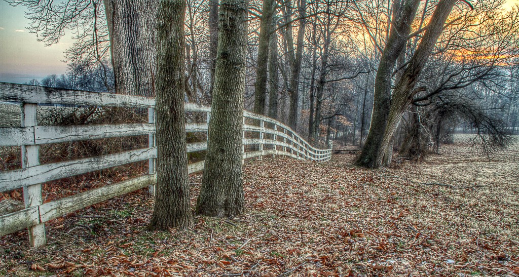 Old Familiar Fence by sbolden
