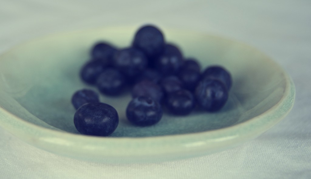Vintage Blueberry  by brigette