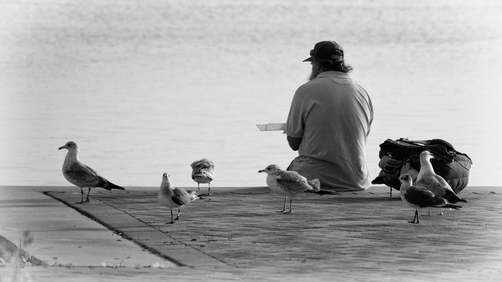 Breakfast with the gulls by eudora