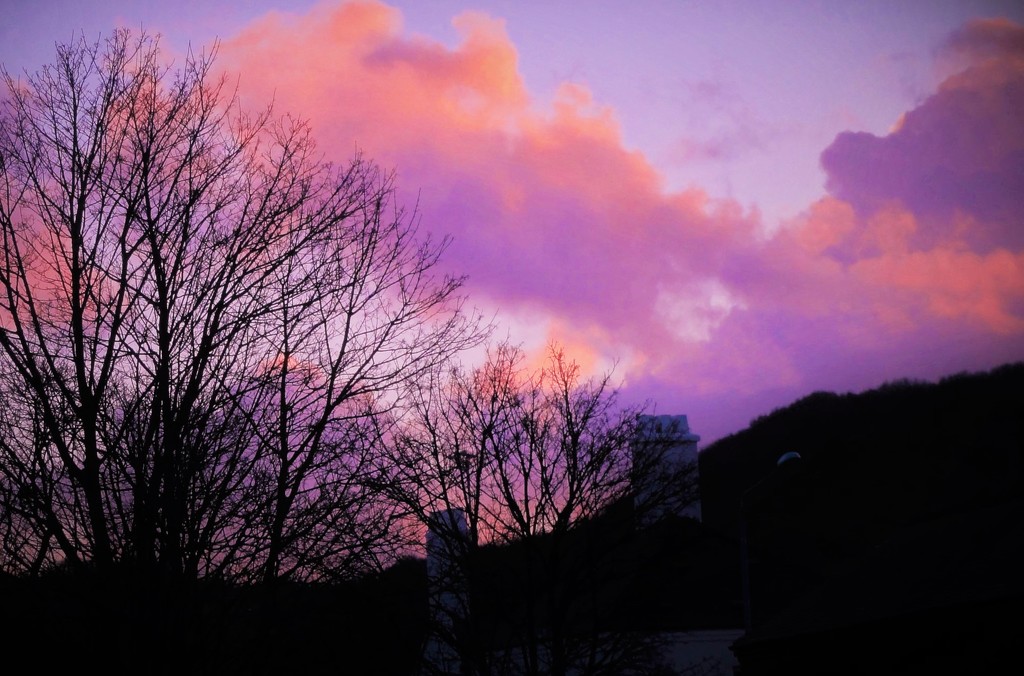 Purple sky   by beryl