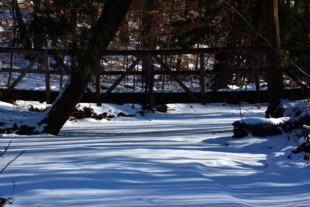 Shadows on the creek by jayberg