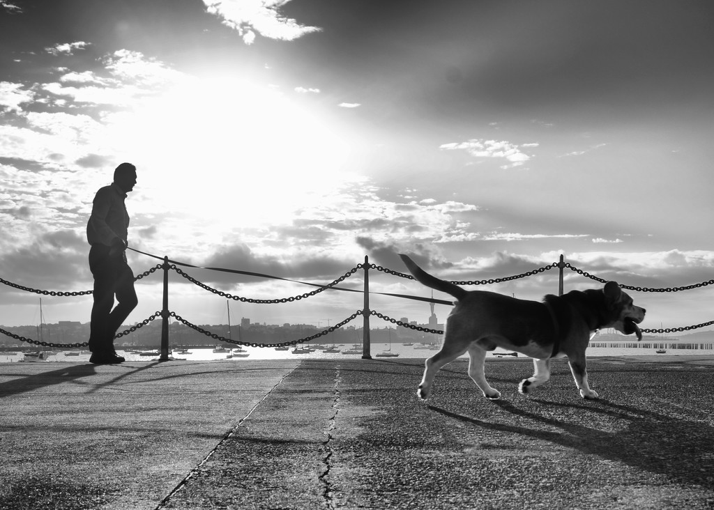 One dog and his man by spanner