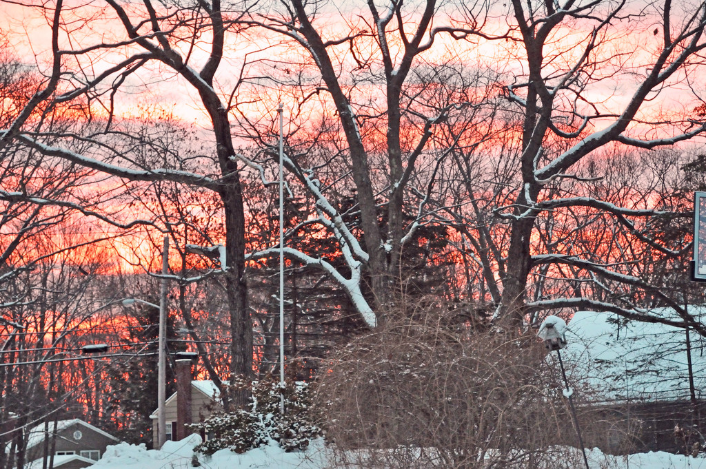 Winter Sunrise by dianen