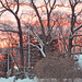 Winter Sunrise by dianen