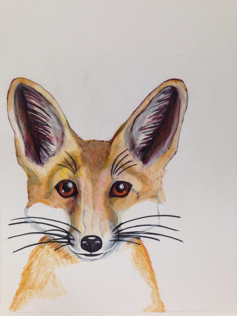 fox by wiesnerbeth