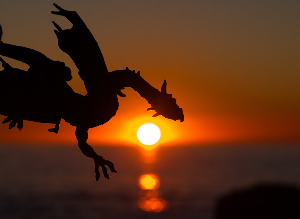 Dragon at Sunset by stray_shooter