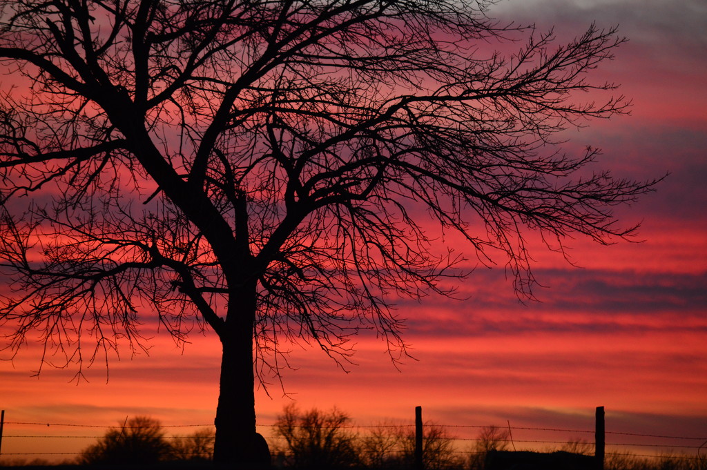 Sunset on a Kansas Farm by kareenking