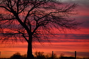 16th Jan 2015 - Sunset on a Kansas Farm