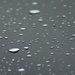 Raindrops by nickspicsnz