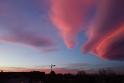 17th Jan 2015 - pink clouds