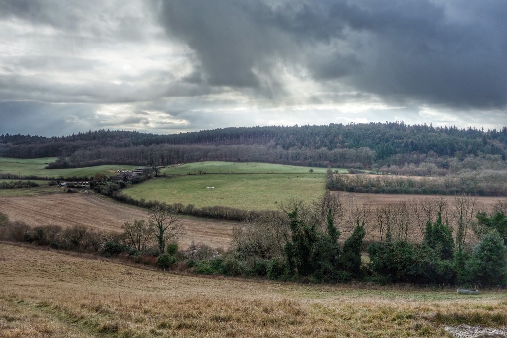 Pewley Downs - Guildford by mattjcuk