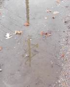 17th Jan 2015 - The Puddle