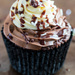 Triple Chocolate Cupcake by nicolecampbell