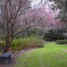 Early signs of Spring, Magnolia Gardens, Charleston, SC by congaree