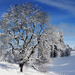 2015-01-18 Winter Zugerberg by mona65