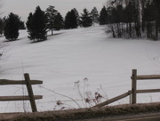 15th Jan 2015 - Broken Fence