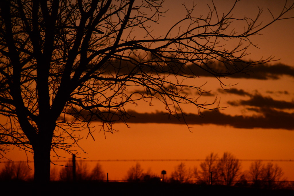 Distant Water Tower by kareenking