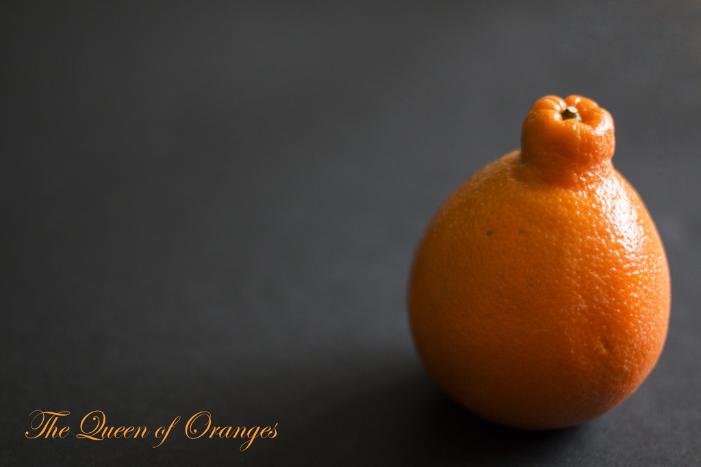 The Queen of Oranges by bizziebeeme