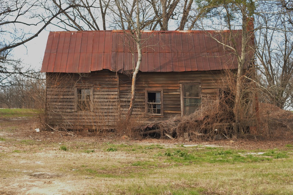 Abandoned farmhouse in Georgia by kathyrose