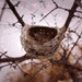 Love Nest by juliedduncan