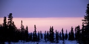 18th Jan 2015 - Arctic Sunset
