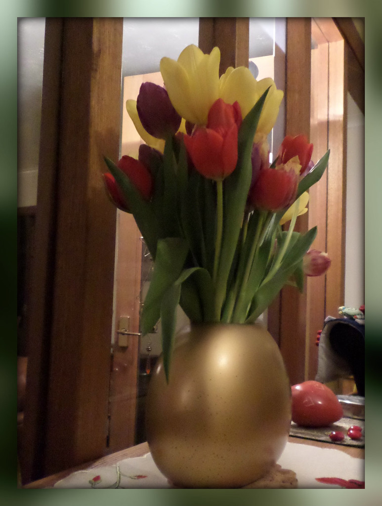 hall tulips by sarah19