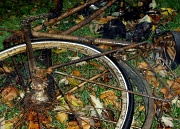 27th Oct 2010 - Bike