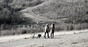 19th Jan 2015 - Up In Gedling Country Park Retro Mono Style