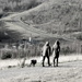 Up In Gedling Country Park Retro Mono Style by phil_howcroft