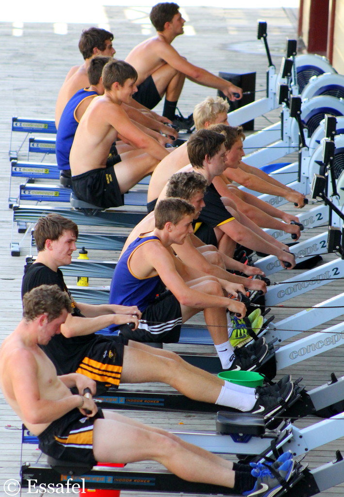 20150120 Row, Row, Row Your Boat by essafel