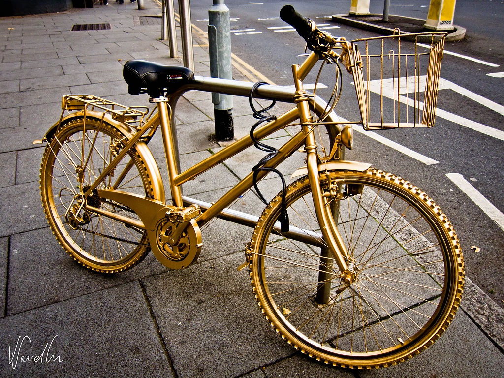 The golden bicycle by vikdaddy