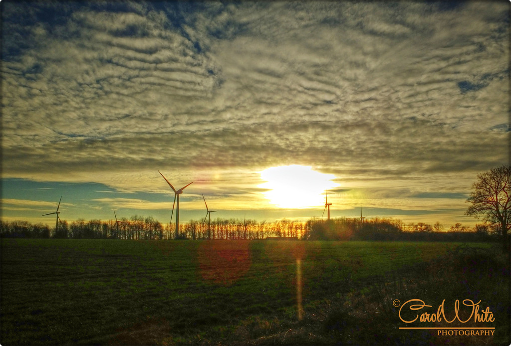 Wind Turbines,Late Afternoon Near Chelveston by carolmw