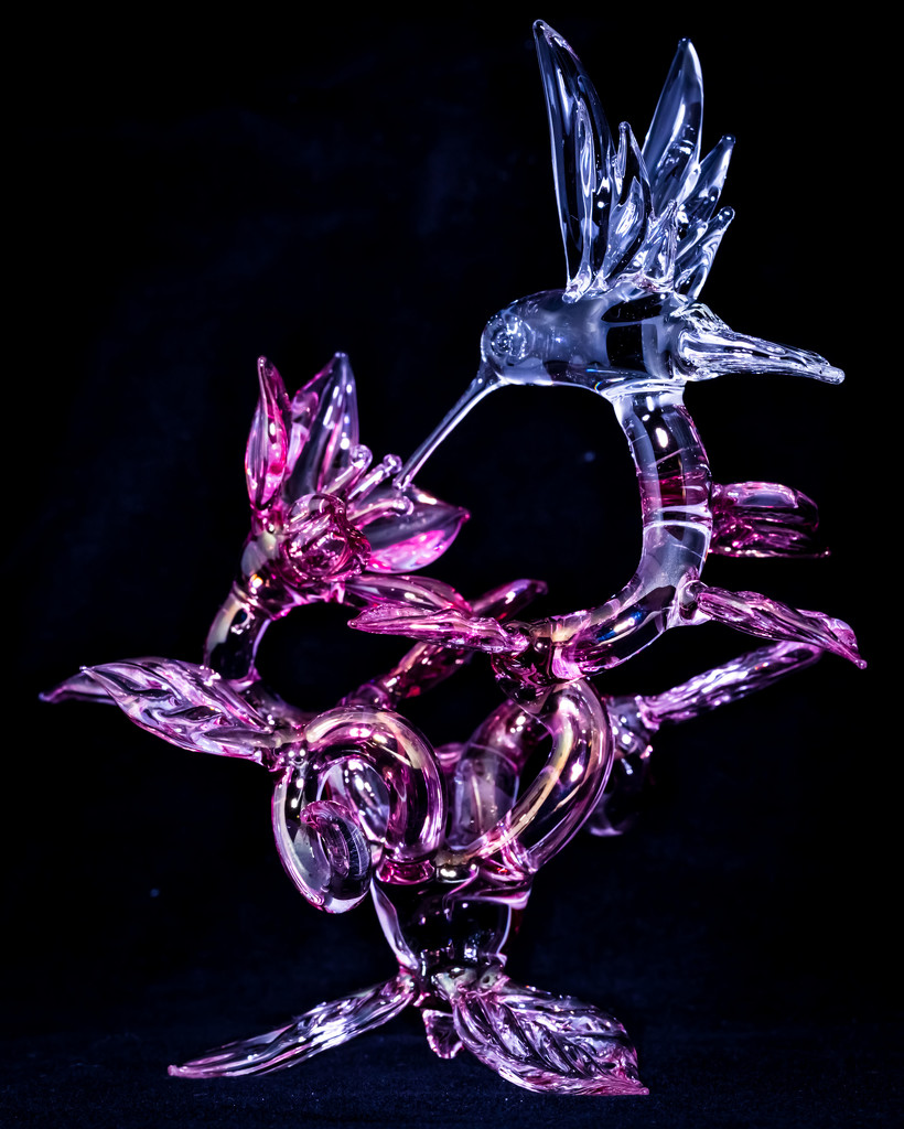 Glass hummingbird by lindasees