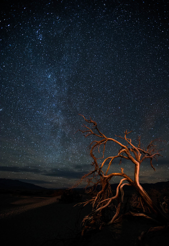 Milky Way over Death Valley Mesquite Sand Dunes  by jyokota